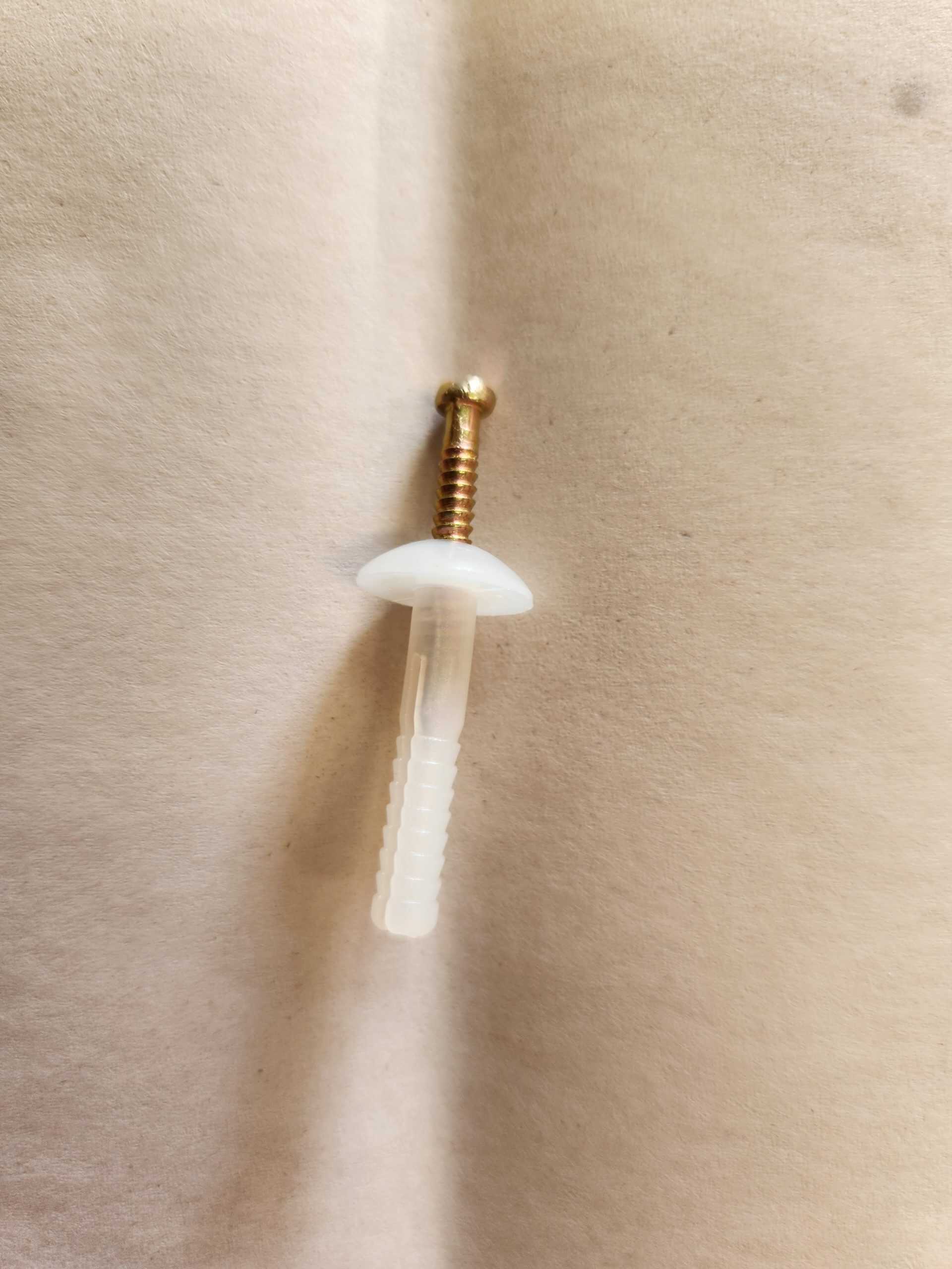 30097NLS Mushroom Head Nylon Nail In Anchor 5mm X 25mm 30097NLS 100 Pack