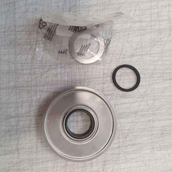 441829 SEALING RING